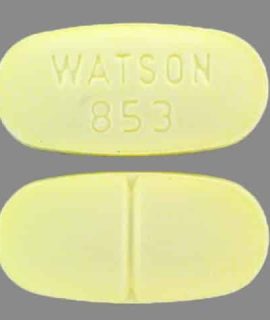 WATSON 853 Hydrocodone 325/10 mg